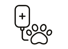 Banco de Sangue Veterinário